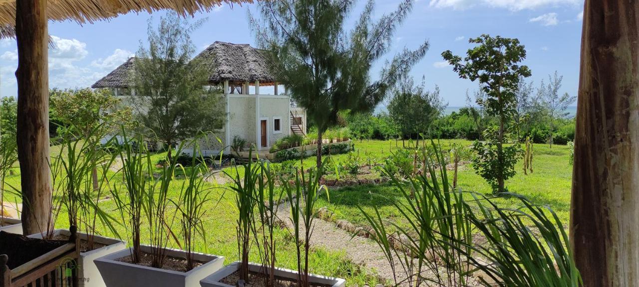 Amani Nature Retreat Station touristique Michamvi